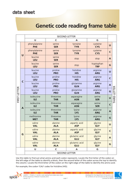 Genetic Code Reading Frame Table