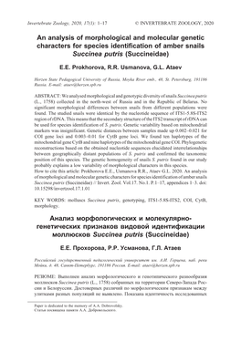 An Analysis of Morphological and Molecular Genetic Characters for Species Identification of Amber Snails Succinea Putris (Succineidae)