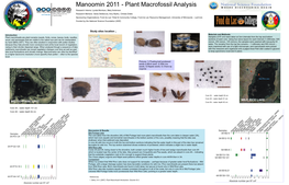 Plant Macrofossil Analysis