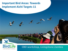 Important Bird Areas: Towards Implement Aichi Targets 11