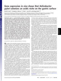 Gene Expression in Vivo Shows That Helicobacter Pylori Colonizes an Acidic Niche on the Gastric Surface