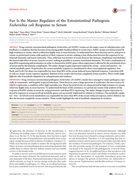 Fur Is the Master Regulator of the Extraintestinal Pathogenic