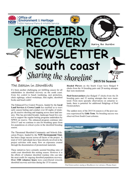 SHOREBIRD RECOVERY NEWSLETTER South Coast