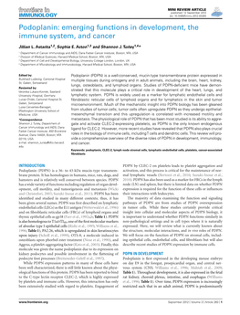 Podoplanin: Emerging Functions in Development, the Immune System, and Cancer