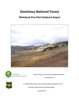 Stanislaus National Forest Whitebark Pine Pilot Fieldwork Report