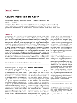 Cellular Senescence in the Kidney