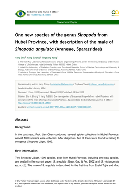 One New Species of the Genus Sinopoda from Hubei Province, with Description of the Male of Sinopoda Angulata (Araneae, Sparassidae)