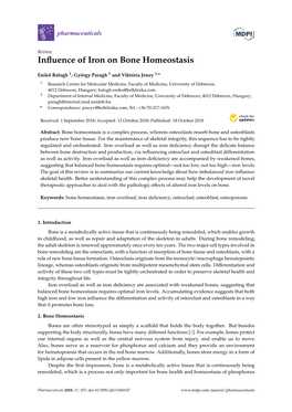 Influence of Iron on Bone Homeostasis