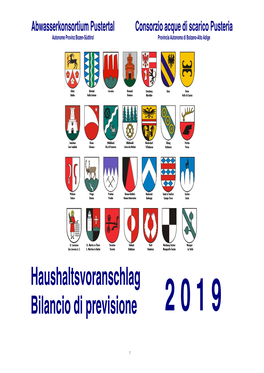 Haushaltsvoranschlag Bilancio Di Previsione 2 0 1 9