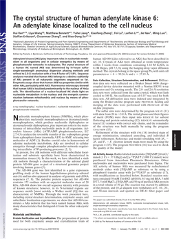 An Adenylate Kinase Localized to the Cell Nucleus