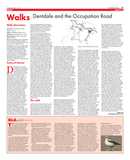 Dentdale and the Occupation Road