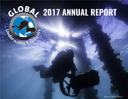 2017 Annual Report