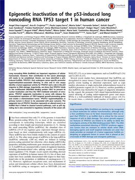 Epigenetic Inactivation of the P53-Induced Long Noncoding RNA