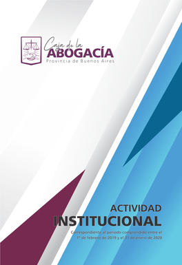 ACTIVIDAD INSTITUCIONAL Correspondiente Al Período Comprendido Entre El 1º De Febrero De 2019 Y El 31 De Enero De 2020 MEMORIA Y BALANCE - Ejercicio 2019/2020