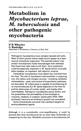 Metabolism in Mycobacterium Leprae, M. Tuberculosis and Other