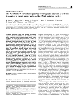 The NMD Mrna Surveillance Pathway Downregulates Aberrant E-Cadherin Transcripts in Gastric Cancer Cells and in CDH1 Mutation Carriers