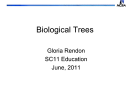 Reading Phylogenetic Trees: a Quick Review (Adapted from Evolution.Berkeley.Edu)