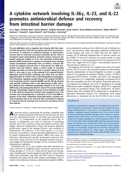 A Cytokine Network Involving IL-36Γ, IL-23, and IL-22 Promotes Antimicrobial Defense and Recovery from Intestinal Barrier Damage