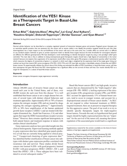 Identification of the YES1 Kinase As a Therapeutic Target in Basal-Like