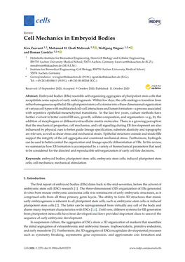 Cell Mechanics in Embryoid Bodies