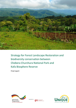 Strategy for Forest Landscape Restoration and Biodiversity Conservation Between Chebera Churchura National Park And