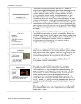 Amblyomma Variegatum S L I D E 1 Amblyomma Variegatum Is a Hard