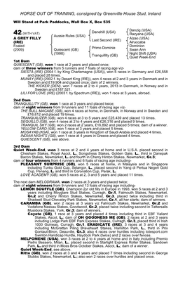 HORSE out of TRAINING, Consigned by Greenville House Stud, Ireland