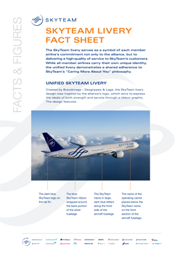 Skyteam Livery Fact Sheet