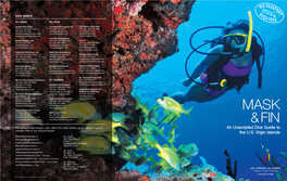 An Unscripted Dive Guide to the U.S. Virgin Islands