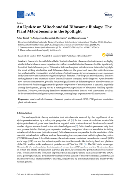 An Update on Mitochondrial Ribosome Biology: the Plant Mitoribosome in the Spotlight