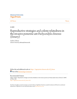 Reproductive Strategies and Colony Relatedness in the Invasive Ponerine Ant Pachycondyla Chinensis (Emery) Andrew Tebeau Clemson University, Atebeau@Clemson.Edu