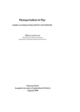 Photoperiodism in Pigs