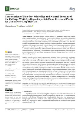 Conservation of Non-Pest Whiteflies and Natural Enemies of The