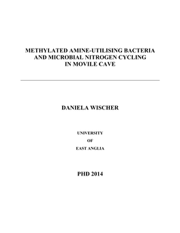 Methylated Amine-Utilising Bacteria and Microbial Nitrogen Cycling in Movile Cave