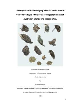 Dietary Breadth and Foraging Habitats of the White- Bellied Sea Eagle (Haliaeetus Leucogaster) on West Australian Islands and Coastal Sites