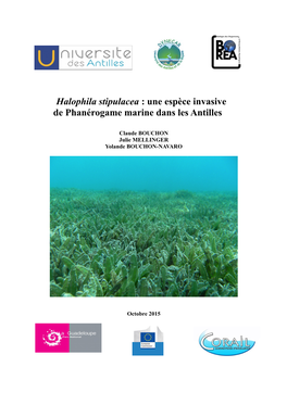 Halophila Stipulacea : Une Espèce Invasive De Phanérogame Marine Dans Les Antilles