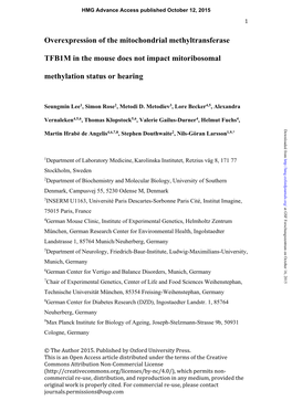 Overexpression of the Mitochondrial Methyltransferase TFB1M in The