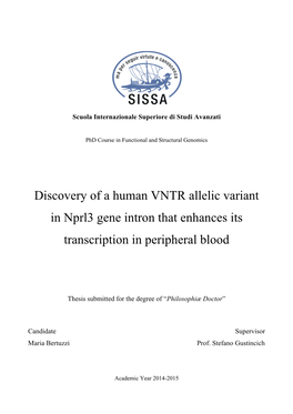 Nprl3 Gene Intron That Enhances Its Transcription in Peripheral Blood