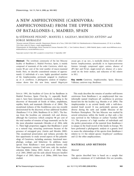 (CARNIVORA: AMPHICYONIDAE) from the UPPER MIOCENE of BATALLONES-1, MADRID, SPAIN by STE´ PHANE PEIGNE´ *, MANUEL J