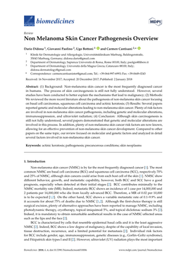 Non Melanoma Skin Cancer Pathogenesis Overview