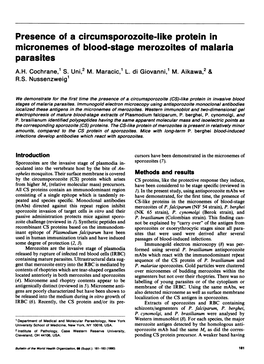 Presence of a Circumsporozoite-Like Protein in Micronemes of Blood-Stage Merozoites of Malaria Parasites A.H