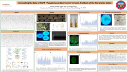 Pseudomonas Fluorescens” in Semi-Arid Soils of the Rio Grande Valley