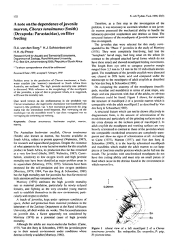 A Note on the Dependence of Juvenile Marron, Cherax Tenuimanus (Smith) (Decapoda: Parastacidae), on Filter Feeding