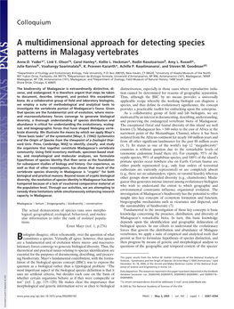 A Multidimensional Approach for Detecting Species Patterns in Malagasy Vertebrates
