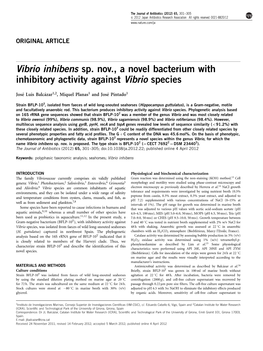 Vibrio Inhibens Sp. Nov., a Novel Bacterium with Inhibitory Activity Against Vibrio Species