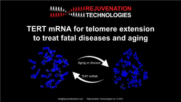 TERT Mrna for Telomere Extension to Treat Fatal Diseases and Aging