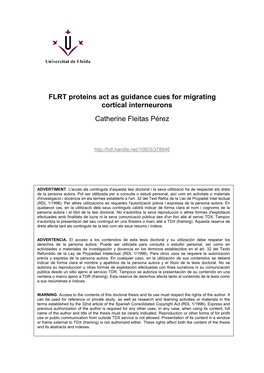 FLRT Proteins Act As Guidance Cues for Migrating Cortical Interneurons