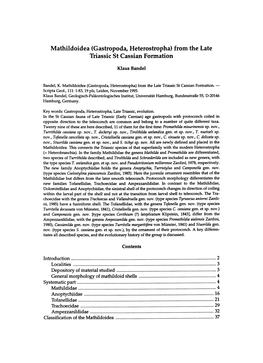 From the Late Triassic St Cassian Formation