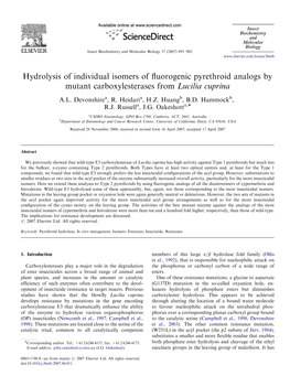 Hydrolysis of Individual Isomers of Fluorogenic Pyrethroid Analogs by Mutant Carboxylesterases from Lucilia Cuprina