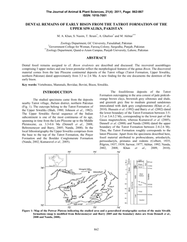 Dental Remains of Early Bison from the Tatrot Formation of the Upper Siwaliks, Pakistan